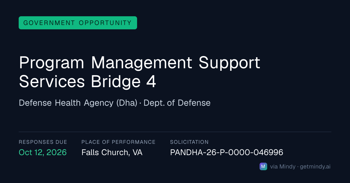 Program Management Support Services Bridge 4 — Government Opportunity
